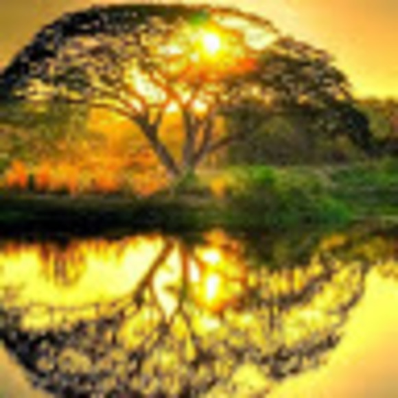 Meet your Posher, Sunshinelove27 - Picture 1 of 1